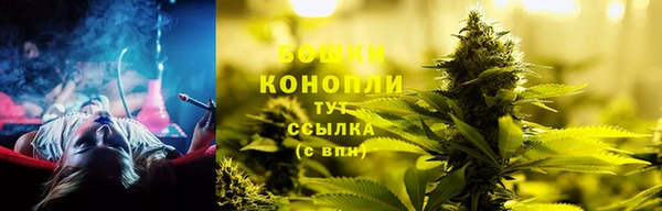 эйфоретик Ладушкин