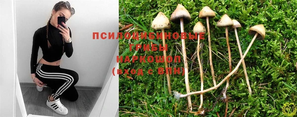 молекула духа Лагань