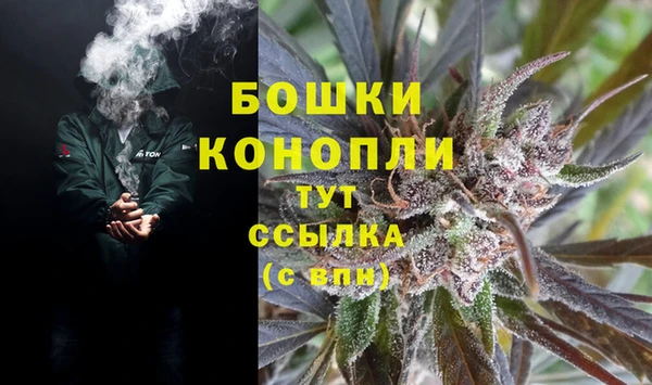 эйфоретик Ладушкин