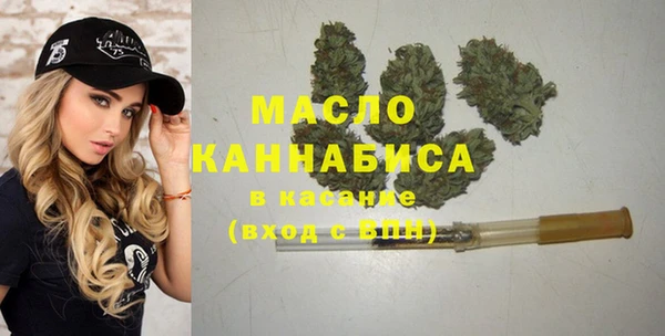 молекула духа Лагань