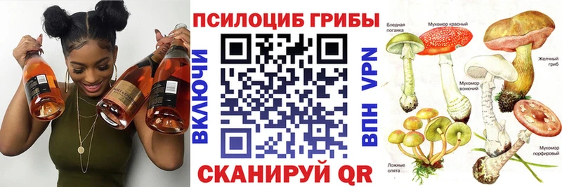 Купить закладки  Волгореченск  Псилоцибиновые грибы Psilocybine cubensis 